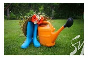 ������� ���� �������� �� ������ ��������� ��������� � 2020 ����