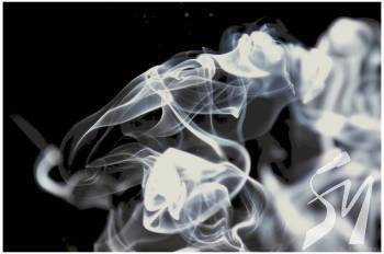 ����� �������� ������ ����� �� ����������� �������� ������