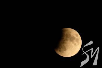 �������� ������� ������� ����������� ������ ���������� 