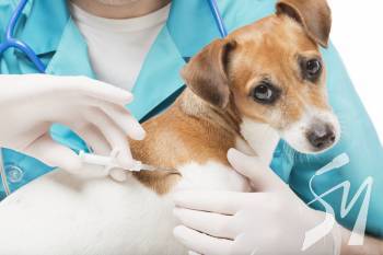 � �������� ������� ������� ����� � ����� ���� ����������������� � ����������� ��������� ������