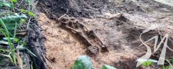 ϳ� ��� �������� �� ������� ���� � �������� ������������� �� ����� ������ 18-�� �������