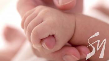 �� ����������� � 2019 ���� ���������� 6129 ��������