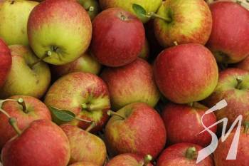 �������� ������ ������������ �� �����  