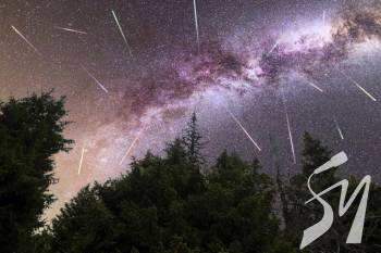 ��������� ���� ������� 2020: �� �� ���� ����� ����������� ���������� �������