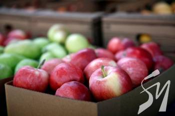 ������ ������ ������������ ����� ����� �� �������� ���������� - ���-����'�� 