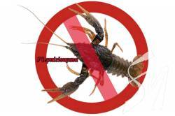 � 1 ������ 2020 ���� �� ����������� ���������� ������ ����