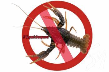 � 1 ������ 2020 ���� �� ����������� ���������� ������ ����