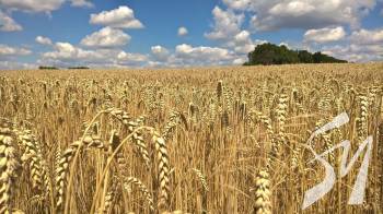 �� ������ �� �����������?