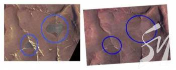 � ������� �� �'��� ���� ��������� �� ��������� ������� �����  