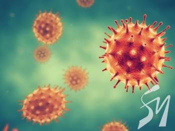 ����� COVID-19 ����� ���� � ������ �� ���������������� ������� �����