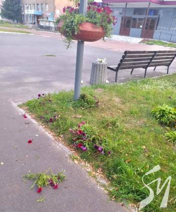 � �������� ����� ������ �������� ������ ������ � ����� ����