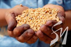 � ������ ����������� ������ �������� ��������� �������  