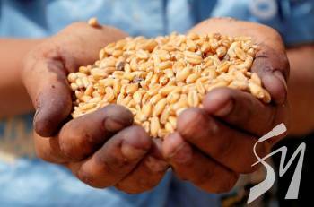 � ������ ����������� ������ �������� ��������� �������  