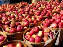 ������� ��� ������� ����������� ������ �����