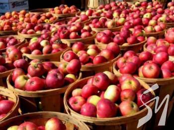 ������� ��� ������� ����������� ������ �����