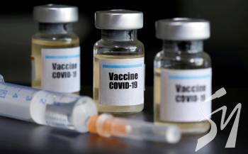 42% �������� �� ���������� ������ �������� �� �����������, - ���������� �̲�. �������Բ��