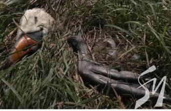 ����� � ���������: ������ ����, ��� �������� ������, �� 7 ���� ���� �� ������ � ������ ������