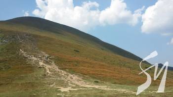 ������� �������� ��������� ����� ���������������� �������� � ��������. ²���