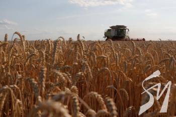 � ������ �������� ������ ������������������ 