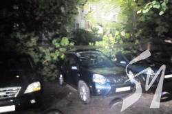 � �������� �������� ������ ��������� 5 ������