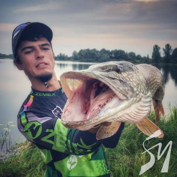 �� ����������� ������� ������ ��������� ����. ����