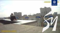 ���������, ���� �������� � ����������������, � ������ �� ����������� �������� �����������