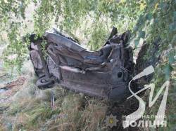 � ������� ���� �� ����������� ������� ����� 1,7 ������ ���, �������� 80 �����