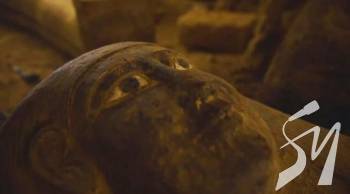 � ����� ������� ��������� ����� ���� 2,5 ������ ����. ����