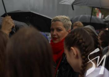 ������ � ������� ������������� ����������� �������  