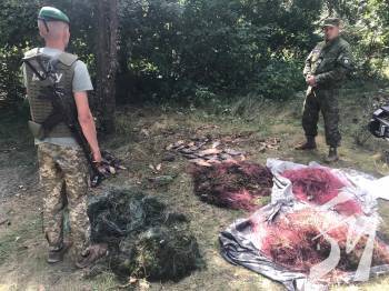 � ���� ��������� ��������� ���������� � ������������ ������ 