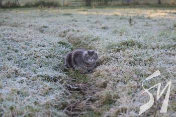 �� ������ ��� ���� ����������� �� ����������� �� ������� �����