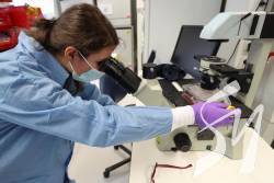 � ��� �������� �������� �������� ��������� �� ���������� ��������� �� COVID-19 �� ���� �������  