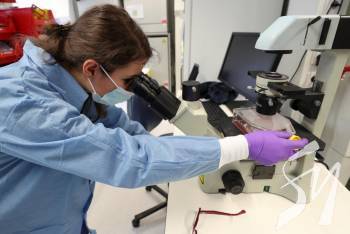 � ��� �������� �������� �������� ��������� �� ���������� ��������� �� COVID-19 �� ���� �������  