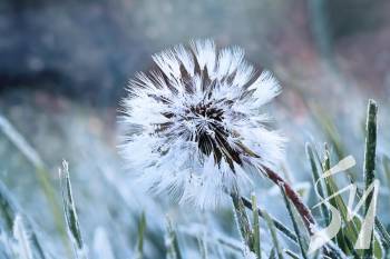 �� ������ ��������� �����������: �� ������ �������� ���������