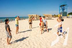 �� �������������� �������� �� �������� ����� ���������� 320 ���� � �����������