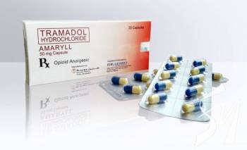 �����������, ���� ����� �� ����� 25 �������� ��������� ������ ������