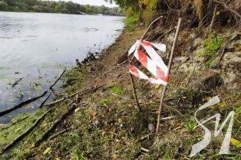 �� ����������� ������� ������ ���� � ������� �������