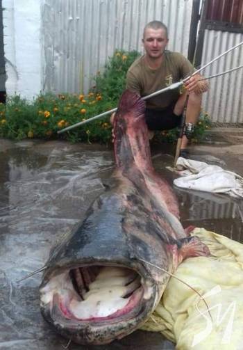 � ����� �������� ��������� ĳ���� ������� ����-�������