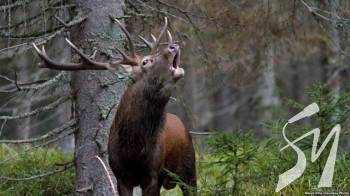 �������������� ����� ��������� �� ��������� � ���������� ������, �������� ��������� �쒿 ����