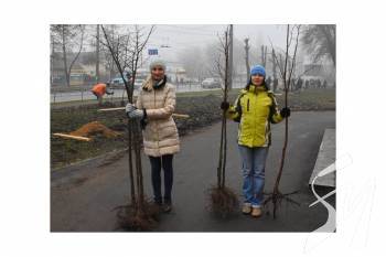 ���������� ���������� �� �������������� �������� 17 ������