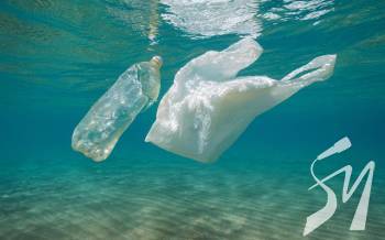 �� ��� �������� ������ ����������� ������� 14 ������ ���� ������������ � ����������  