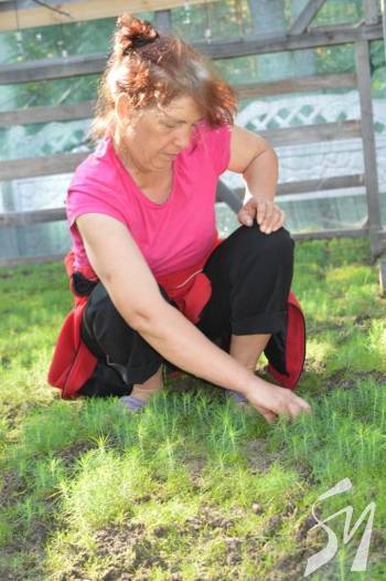 �������� �������� ��� �����������