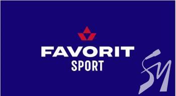 ������ ������� �������� 2020 ����: �����������, ������������ � ������� ������������