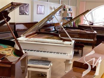 ��� ������� ������������ ���������� �����?