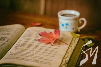 ��������� ������ �������� ����� ��������� ���� �� ��� ��������ﳿ, ��� ������ �� ��� ������