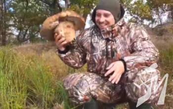 �� ����������� ������� ���������� ���� ����-����������