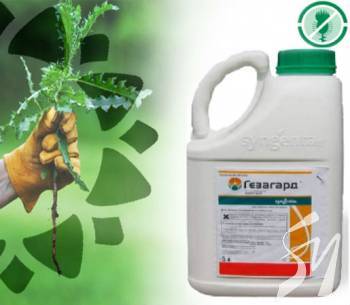 ����� ����������� ������������ ��� �������� � ������� � ����������� �Agrolavka.com.ua�