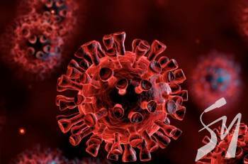 � ������ �������� ���� ���������: �� ������ ����������� ��������� � 2 ���������