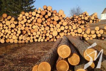 ��������� ������� ������������ �� ��������� ������� ��� ��������