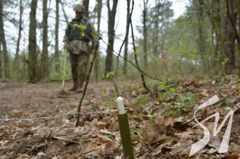 ���������� ����� ��������� ���� ���� ������� � �������